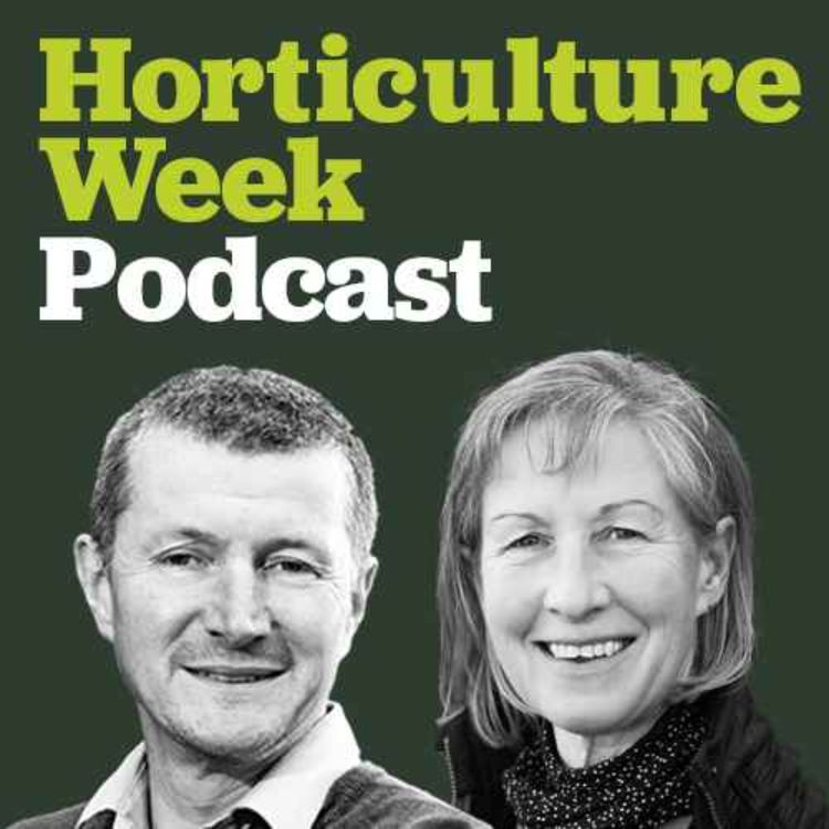 cover art for Growing and selling plants with Sue Beesley of Bluebell Cottage Gardens