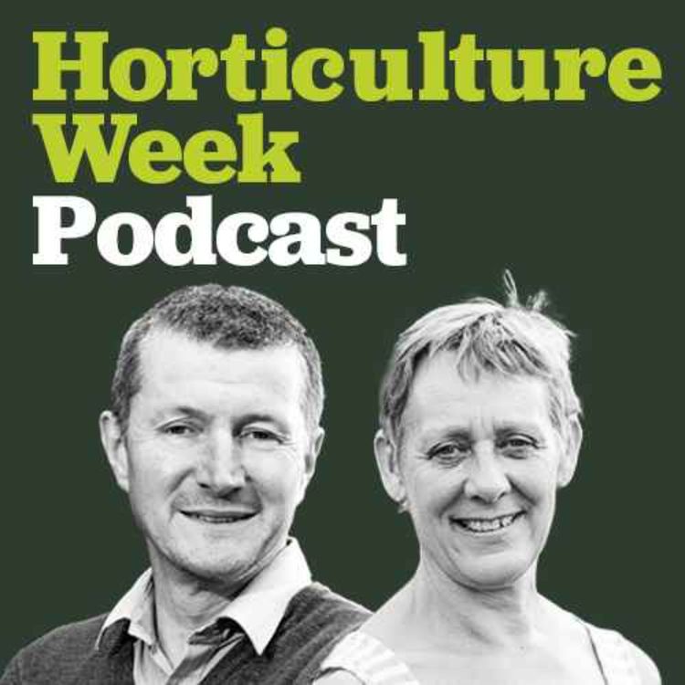 cover art for Claire Austin on peony perfection