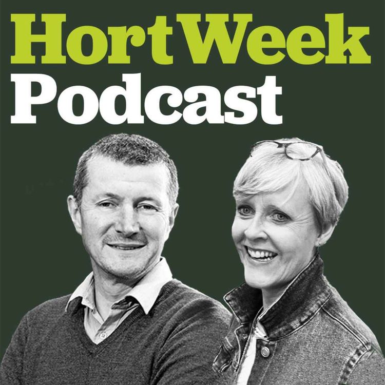 cover art for 'Instant' Jurassic gardens for the gardeners of the future - with Roisin Wilson of HSK