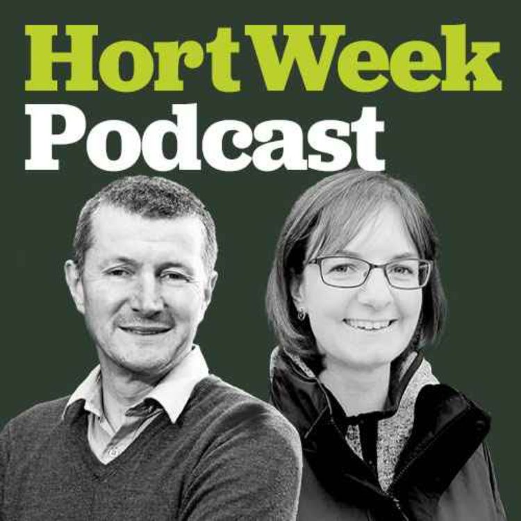 cover art for ICL's Chloe Whiteside on peat-free, fertiliser and biocontrol use for growers this winter