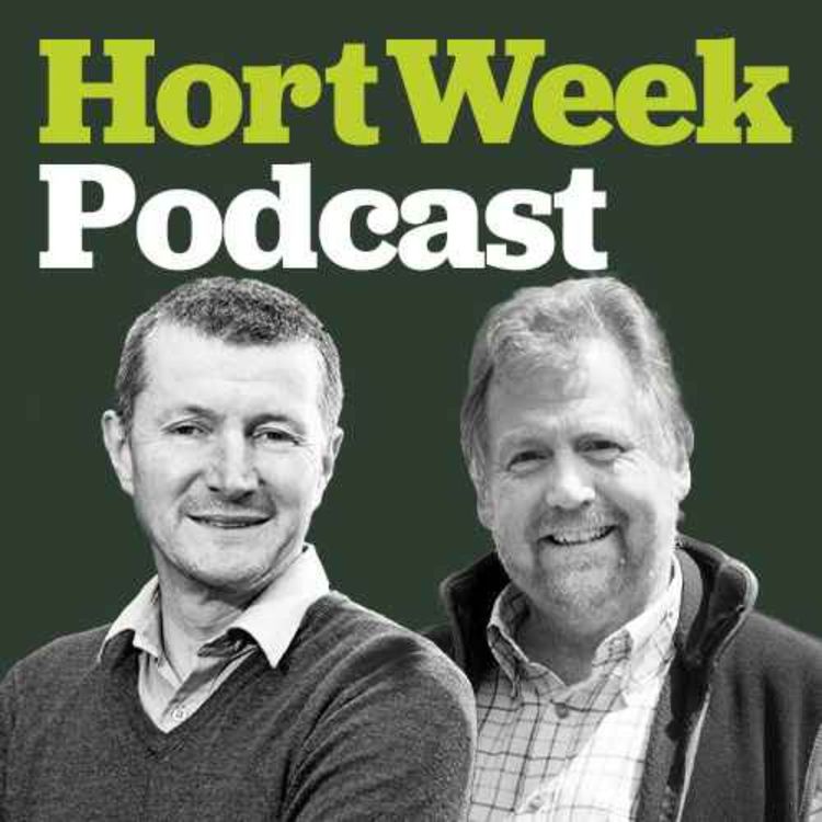 cover art for Why tree guru Tony Kirkham wants to 'get rid of the term 'tree planting''