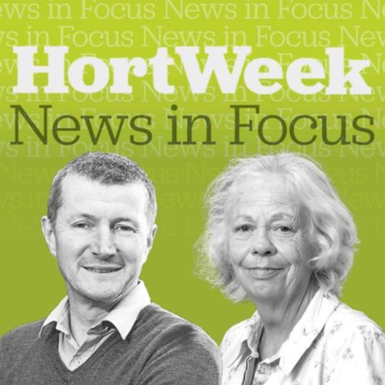cover art for News In Focus: Football World Cup, plant shows