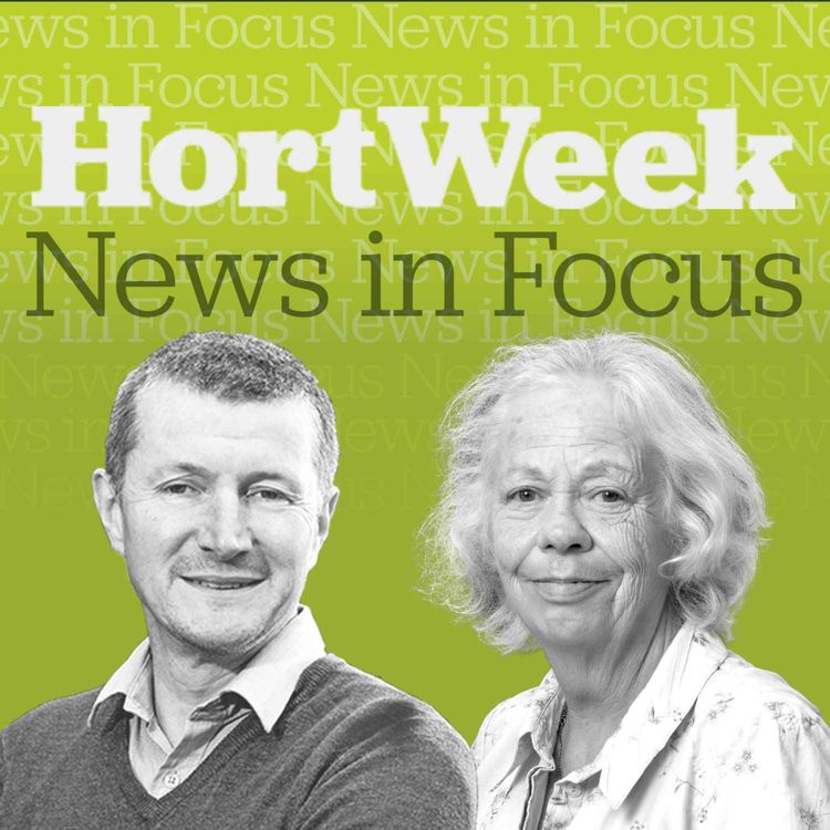 cover art for Prizes, products and pilfering at Four Oaks 2026 and HortWeek's new plant ID game Hortle goes viral