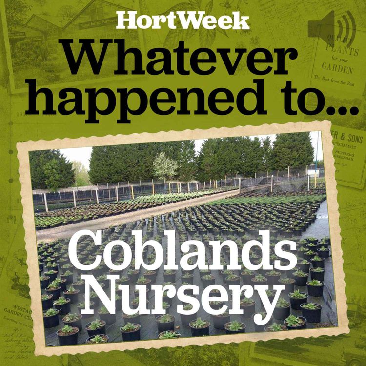 cover art for HortWeek Podcast: Whatever happened to Coblands Nursery