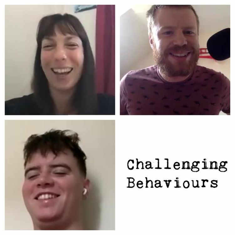 cover art for Ep 36 W Liz Wright: Talking Phoenix