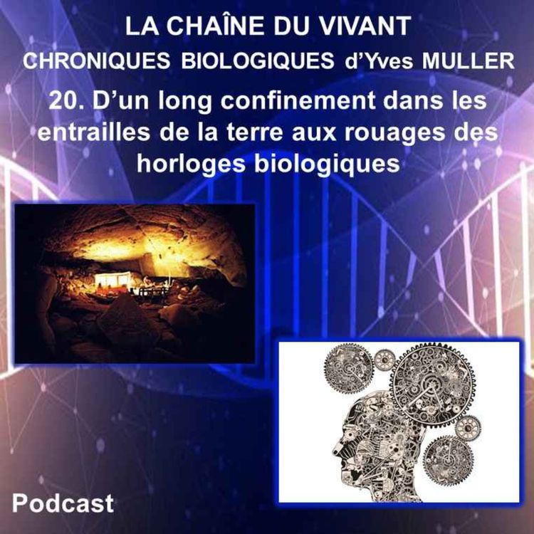 cover art for 20. D’un long confinement dans les entrailles de la terre aux rouages des horloges biologiques