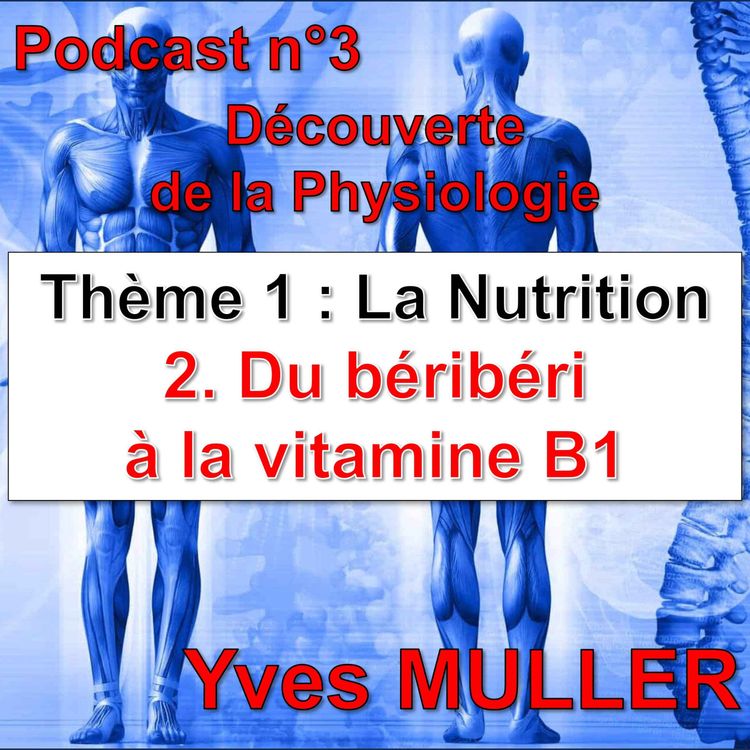 cover art for 3. Du béribéri à la vitamine B1