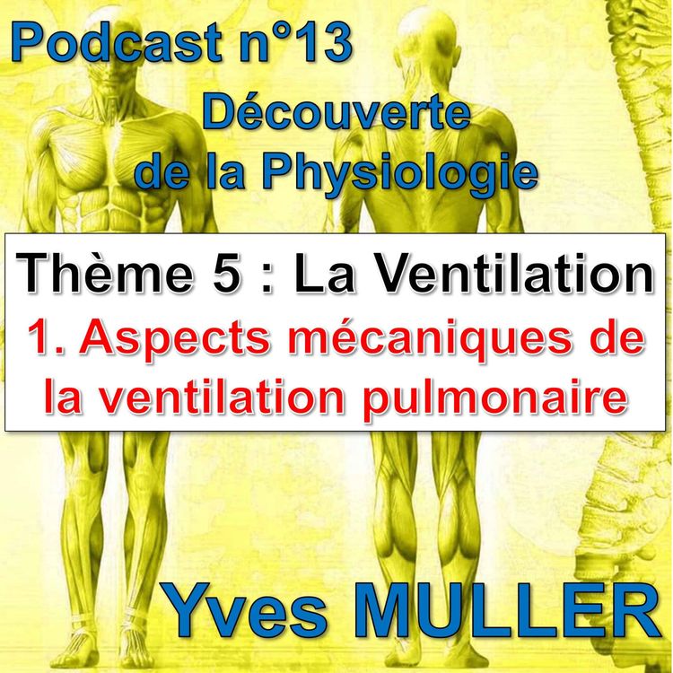 cover art for 13. La ventilation - Aspects mécaniques de la ventilation pulmonaire