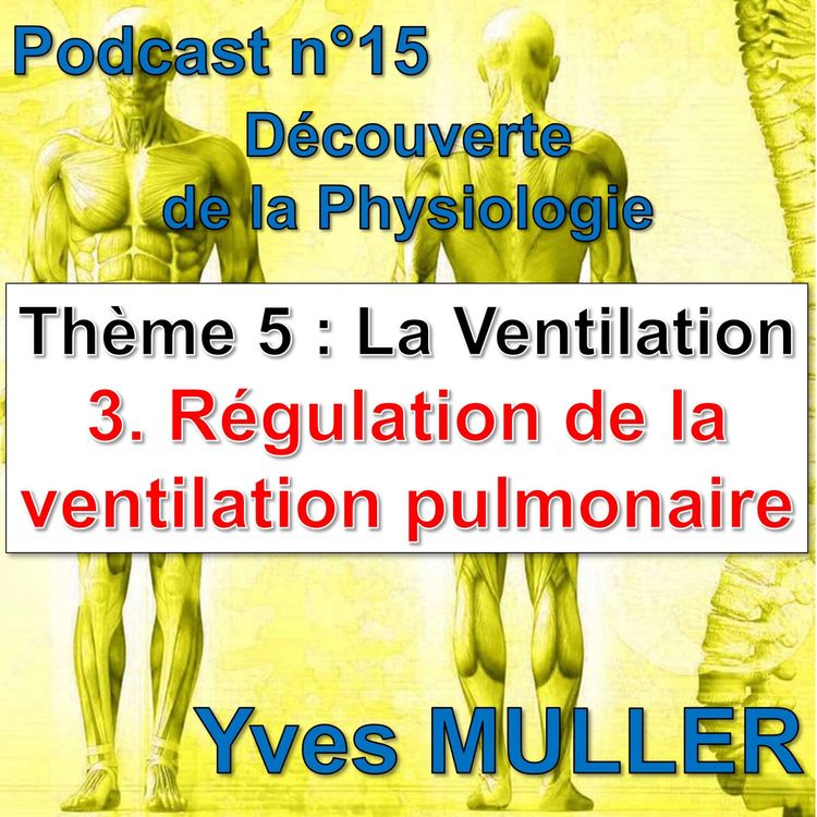 cover art for 15. La ventilation - La régulation de la ventilation pulmonaire