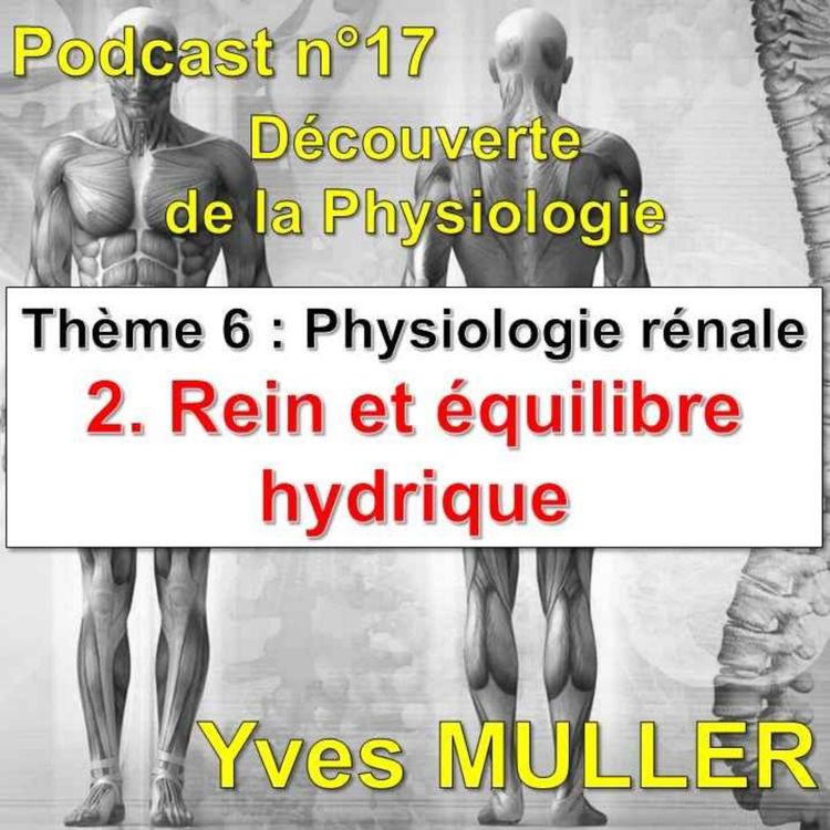 cover art for 17. Physiologie rénale - Rein et équilibre hydrique