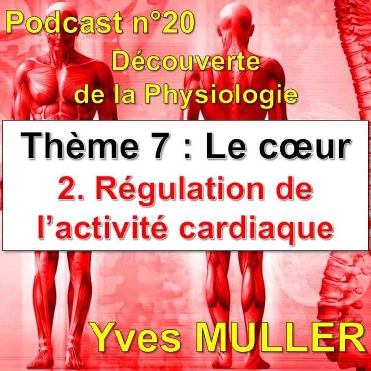 cover art for 20. Régulation de l'activité cardiaque