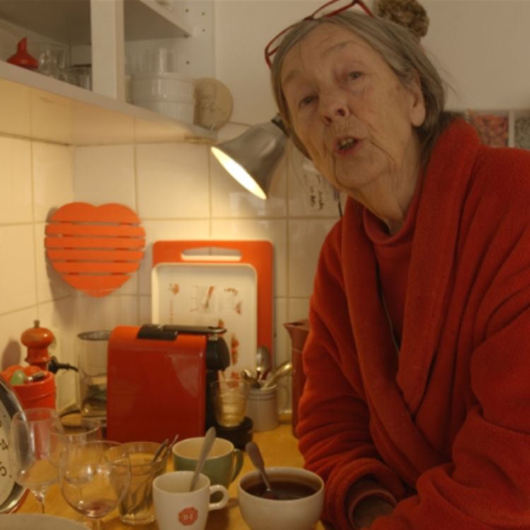 cover art for IDFA 2022 - Anneke de Lind van Wijngaarden