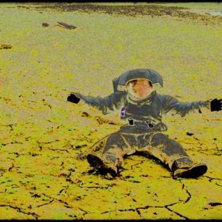 cover art for Berlinale 2023 - Notes from Eremocene