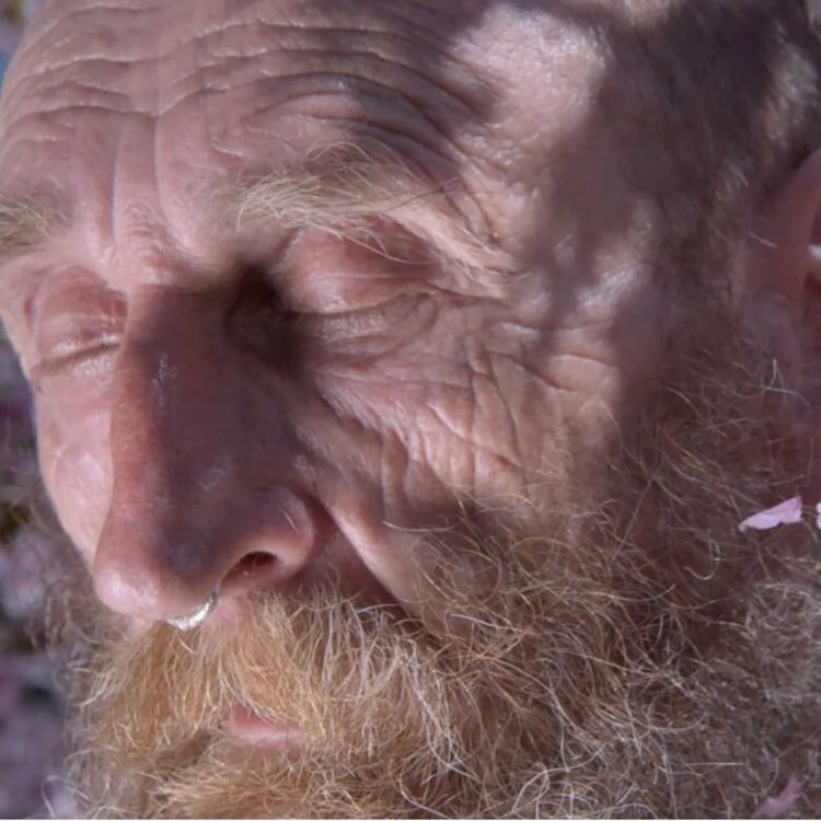 cover art for Rotterdam Film Festival: A Man Imagined