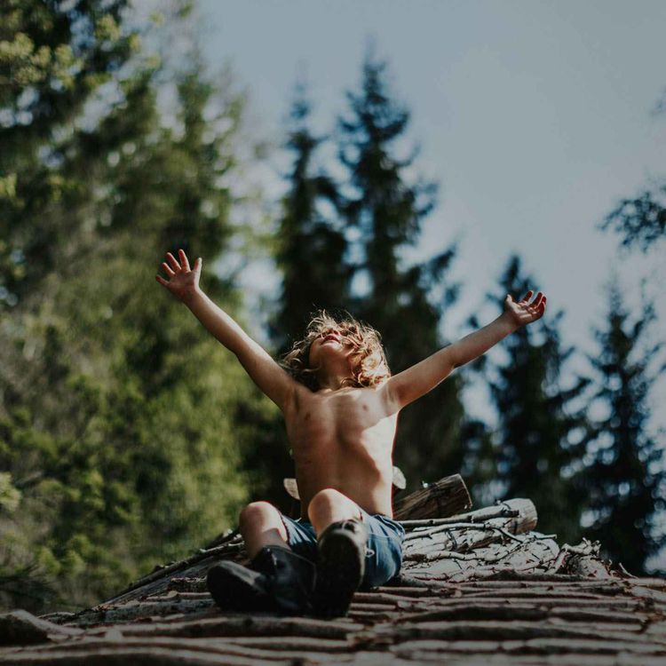 cover art for Hot Docs: A New Kind of Wilderness