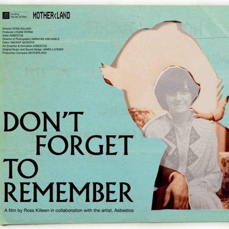 cover art for Docs Ireland: Don't Forget to Remember