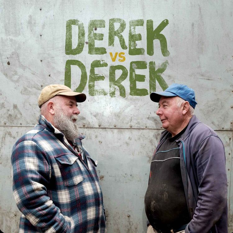 cover art for Derek vs Derek @ Movies That Matter 