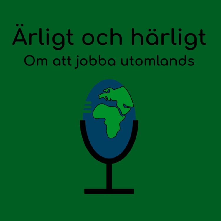 cover art for 21. Erik om sin tid som utrikeskorrespondent för SvD i USA