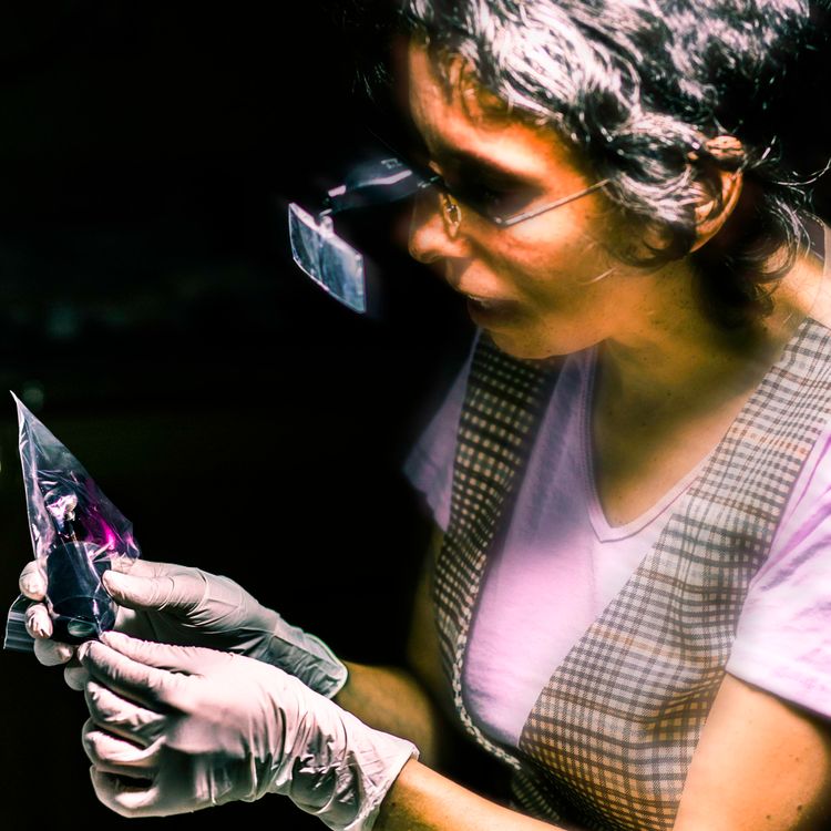 cover art for Episode 10: Making a Beauty Mark