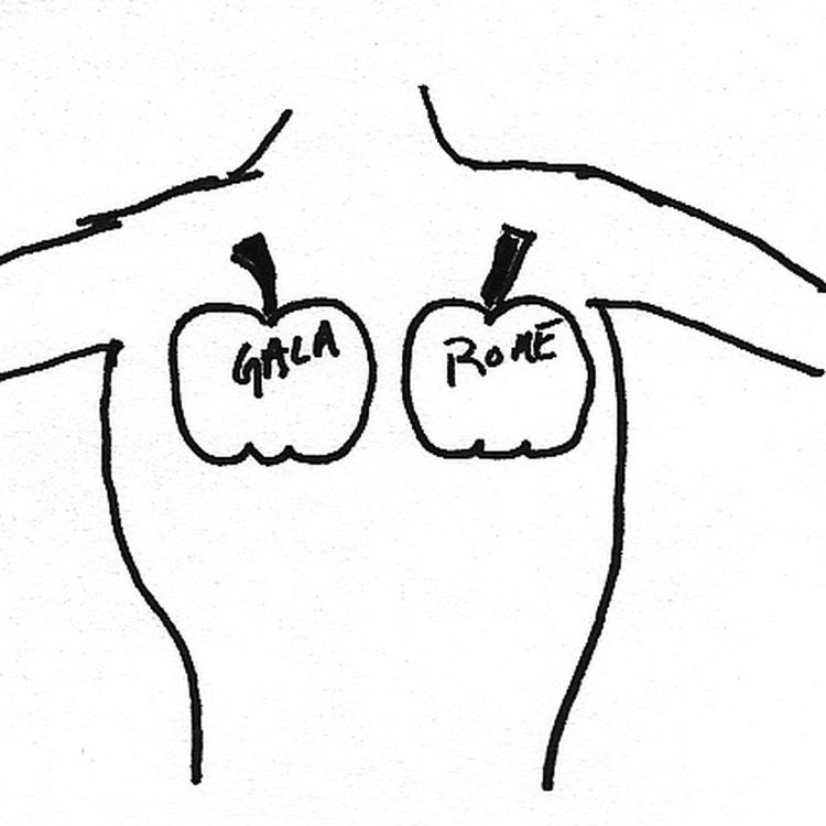 cover art for Minisode 6: Little House on the Prairie Nightmare