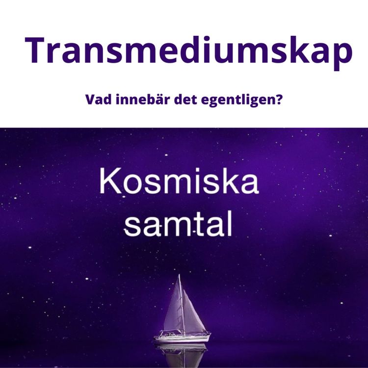 cover art for Samtal 134: Lever man i en skokartong med transmediumskap?