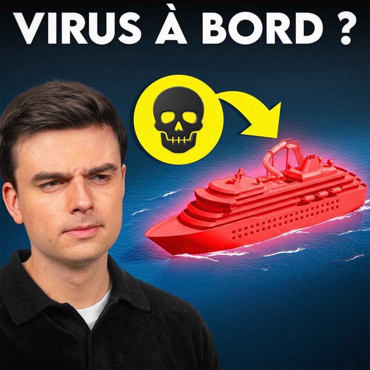 cover art for Hantavirus : une croisière tourne au cauchemar