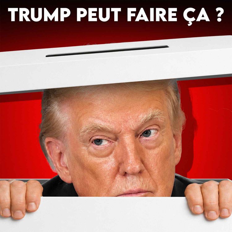 cover art for Révélations sur le projet de Trump pour manipuler les élections