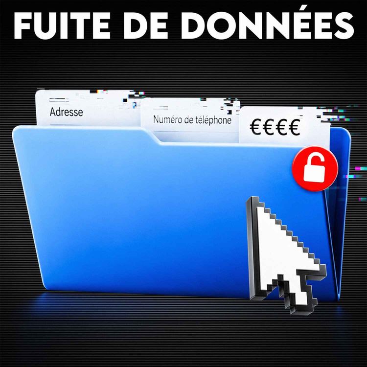 cover art for Piratage des impôts et de l’Education nationale, voici les risques