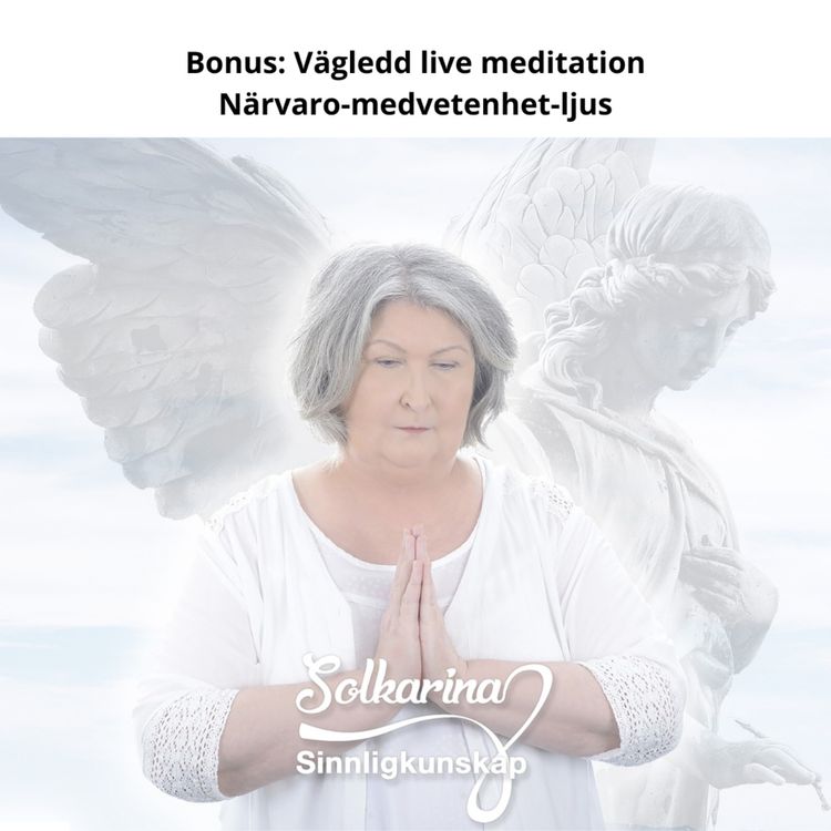 cover art for Bonus: Vägledd live meditation från kurs - närvaro-medvetenhet-ljus