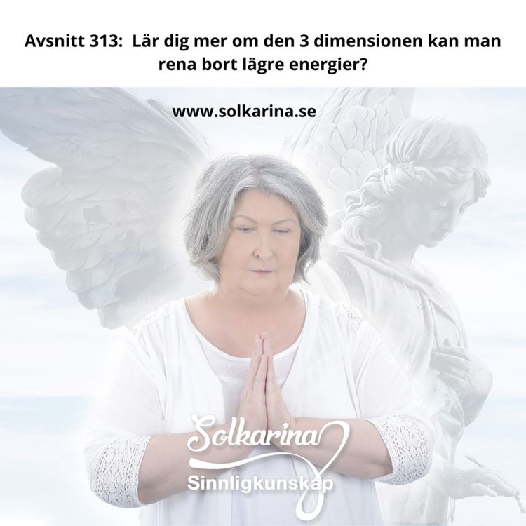 cover art for Avsnitt 313:  Lär dig mer om den 3 dimensionen kan man rena bort lägre energier? 