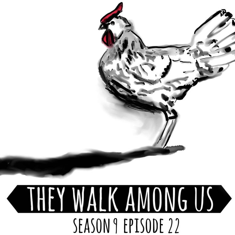 cover art for Season 9 - Episode 22