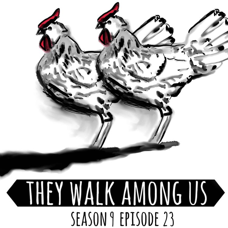 cover art for Season 9 - Episode 23