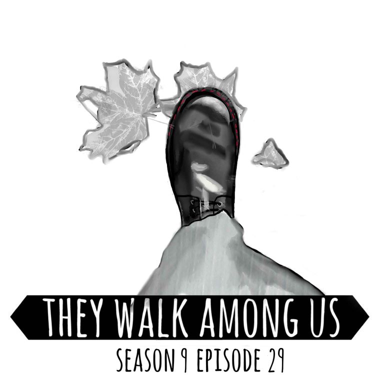 cover art for Season 9 - Episode 29