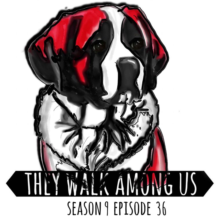 cover art for Season 9 - Episode 36