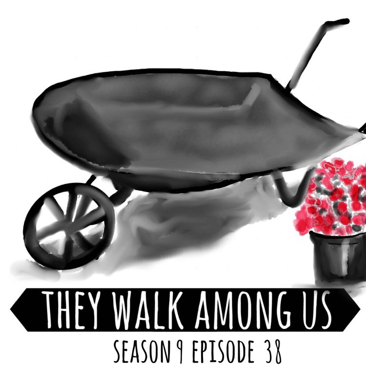 cover art for Season 9 - Episode 38