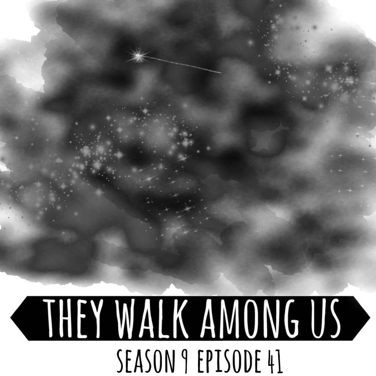 cover art for Season 9 - Episode 41