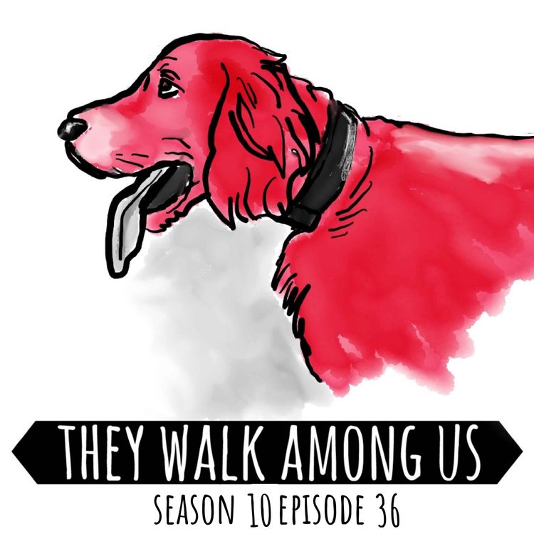 cover art for The Last Juvenile To Be Sentenced To Death / Ethel Corey / Harold Wilkins