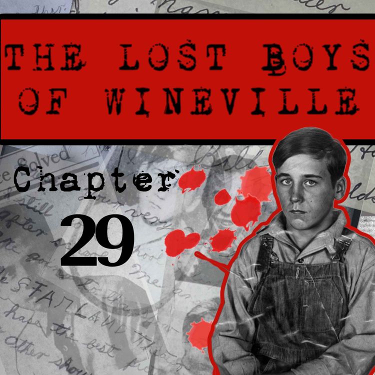cover art for The Lost Boys Of Wineville / Chapter 29
