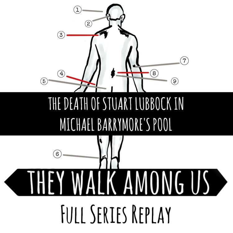 cover art for REPLAY - The Death Of Stuart Lubbock In Michael Barrymore's Pool (Full Series)