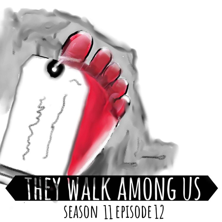 cover art for Elkin & Bell / The Gosport Funeral Home Scandal