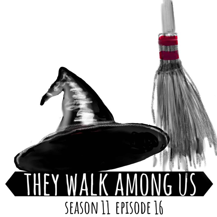 cover art for The Witch of Tewkesbury: 25 Years of Captivity / Amanda Wixon