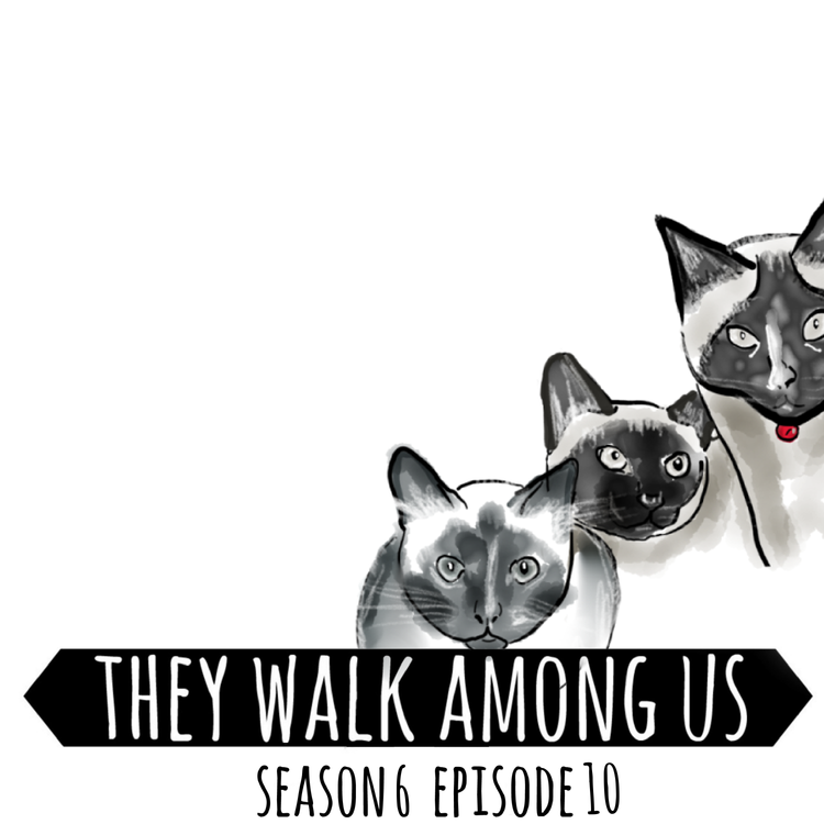 cover art for Devil’s Disciple Serial Killer / Patrick MacKay - Part 2