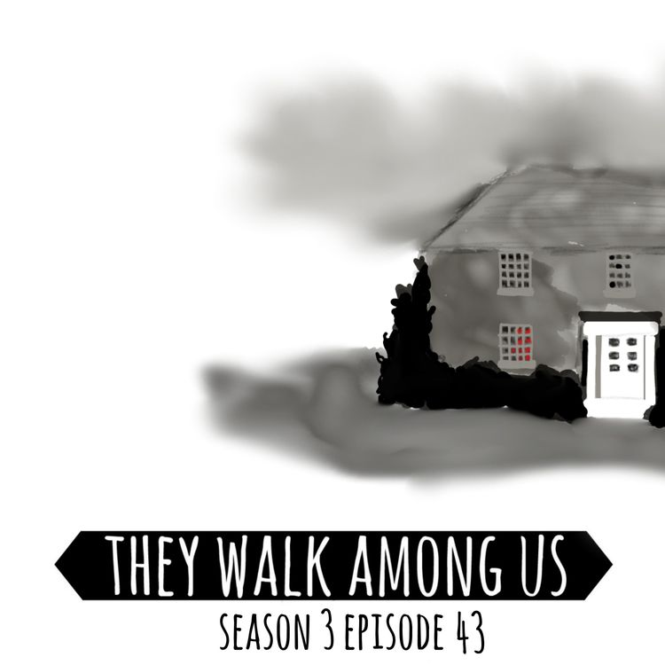 cover art for Season 3 - Episode 43