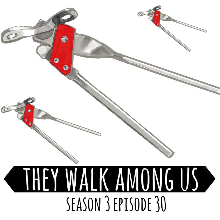 cover art for Season 3 - Episode 30
