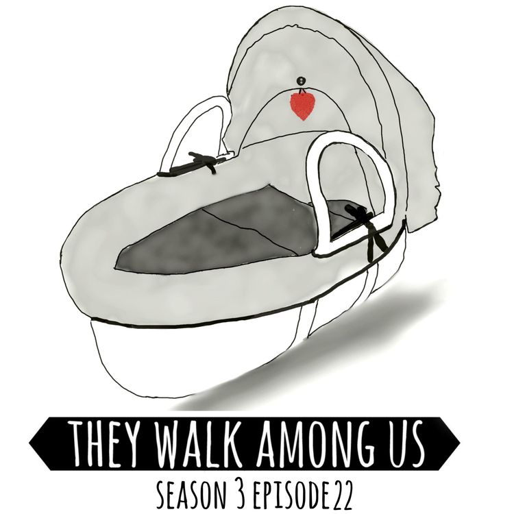 cover art for Season 3 - Episode 22