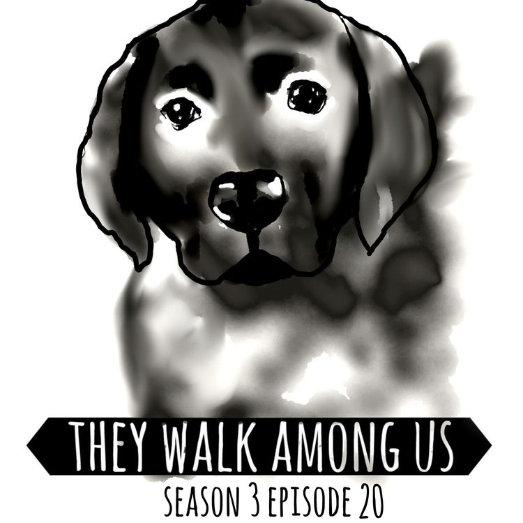 cover art for Season 3 - Episode 20