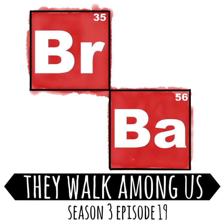 cover art for Season 3 - Episode 19