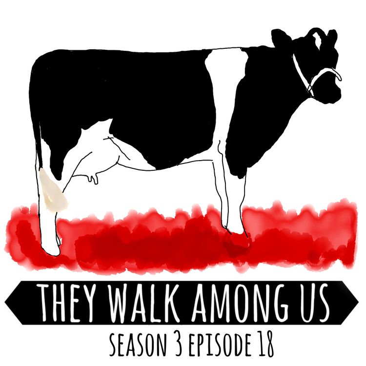 cover art for Season 3 - Episode 18