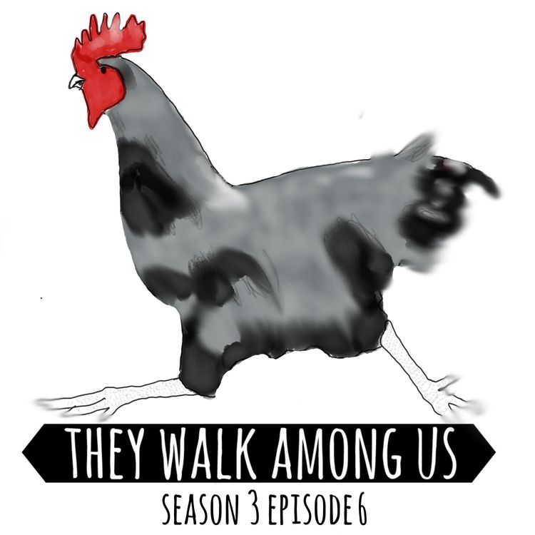 cover art for Season 3 - Episode 6