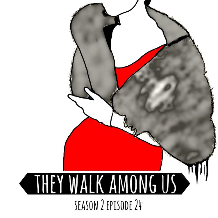 cover art for Season 2 - Episode 24